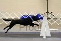 IMG_0185