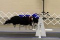 IMG_0190