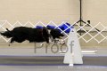 IMG_0204