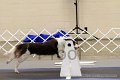 IMG_0206