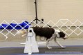 IMG_0207