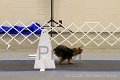 IMG_0209