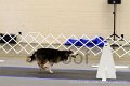 IMG_0211