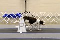 IMG_0217