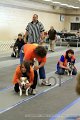 IMG_0234