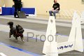 IMG_0260