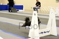 IMG_0261