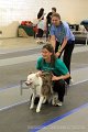 IMG_0275