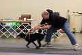 IMG_0281