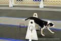 IMG_0285