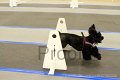 IMG_0291