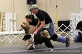 IMG_0323