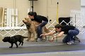 IMG_0326