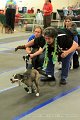 IMG_0341