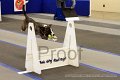 IMG_0364