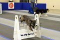IMG_0369