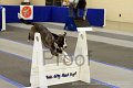 IMG_0370