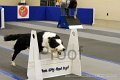 IMG_0371