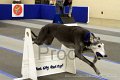 IMG_0375