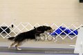 IMG_0389