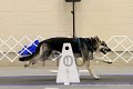 IMG_0396