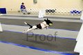 IMG_0417
