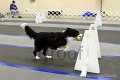 IMG_0421