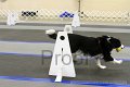 IMG_0422