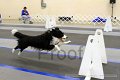 IMG_0432
