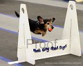 IMG_0461