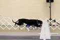 IMG_0476