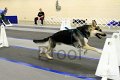 IMG_0484