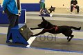 IMG_0493