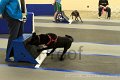 IMG_0494