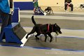 IMG_0496