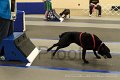 IMG_0497