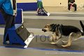 IMG_0499