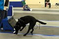 IMG_0502