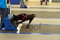 IMG_0520