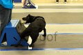 IMG_0529