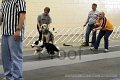 IMG_0592