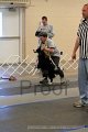 IMG_0594