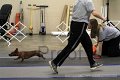 IMG_0600