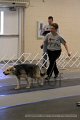 IMG_0604