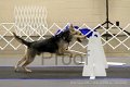 IMG_0614