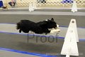 IMG_0638