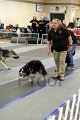 IMG_0696