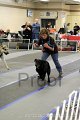 IMG_0698
