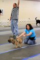 IMG_0702
