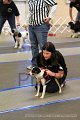 IMG_0713
